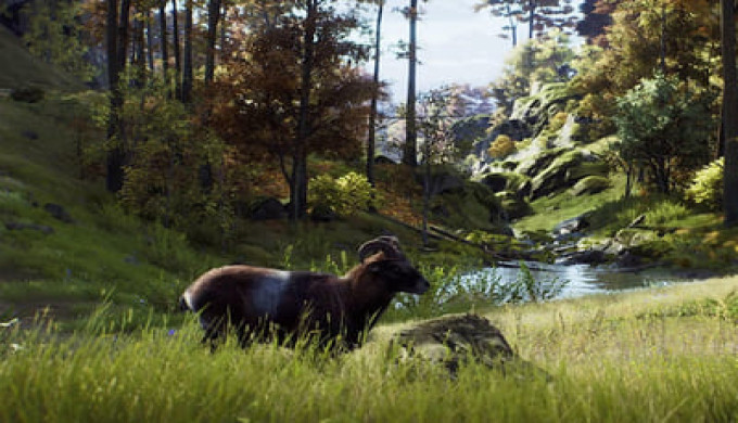 HD Series Is Changing the Way You Hunt, Scout, and Explore (1)