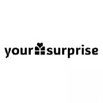 Your Surprise IE